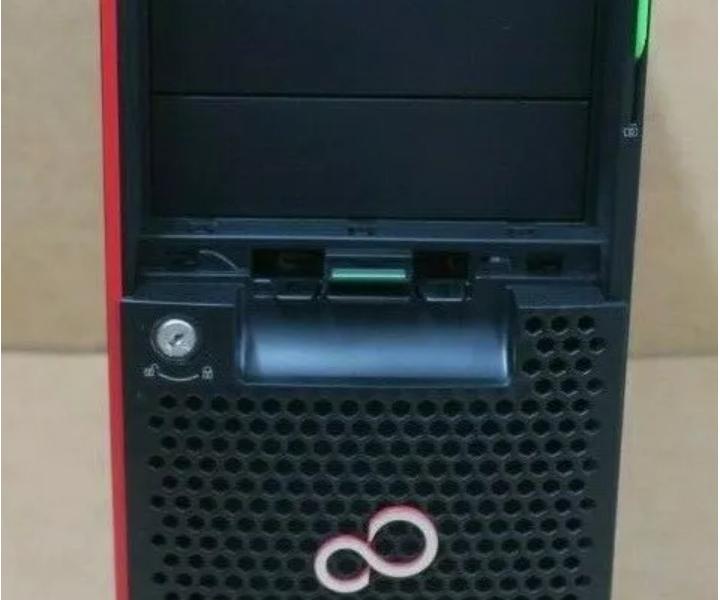 Dual-Core i3-6100 TX1330 300GB