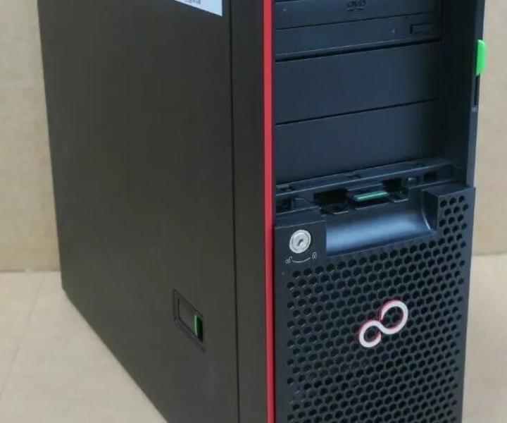 Dual-Core i3-6100 TX1330 300GB