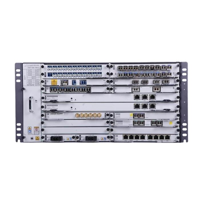 Multi-Service MS-OTN 100G