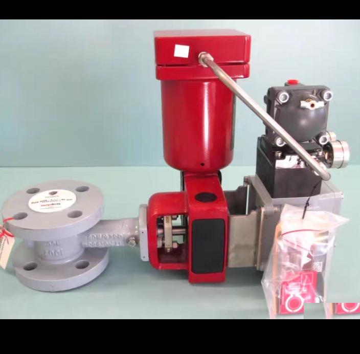 1 5 300 Masoneilan 35-35212 Camflex II SVI3 2022 P4