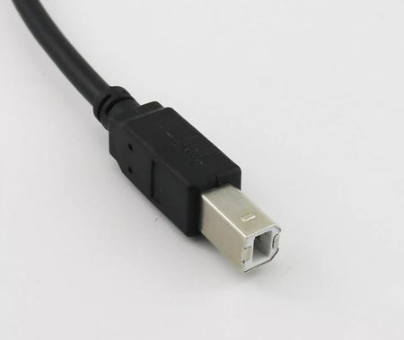 30cm