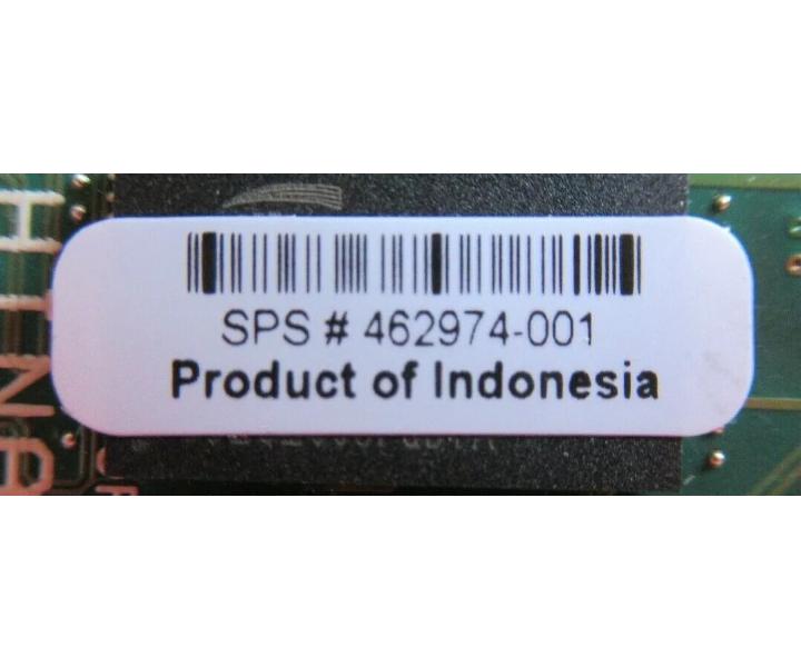 462974-001 P-Series 256MB