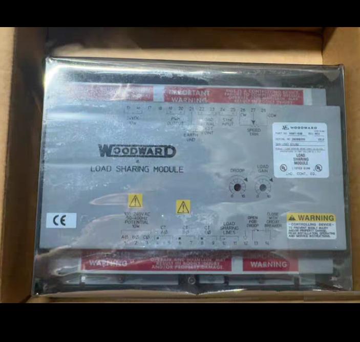 53 WOODWARD 9907-838 WOODWARD 9907-838