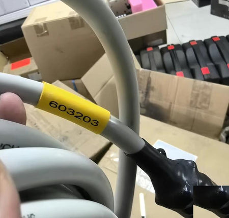 603203 5