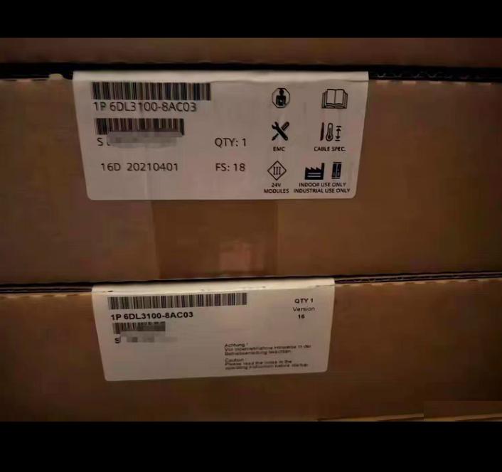 6DL3100-8AC03 IO AddFEM 2021 24V