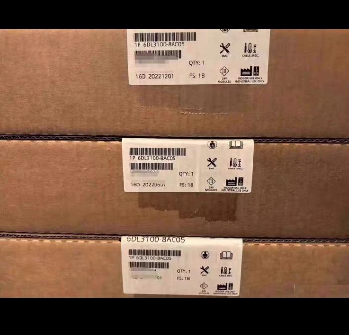 6DL3100-8AC05 IO AddFEM 2021 24V
