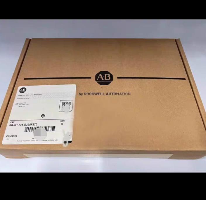 AB SK-R1-IG1-E395F370