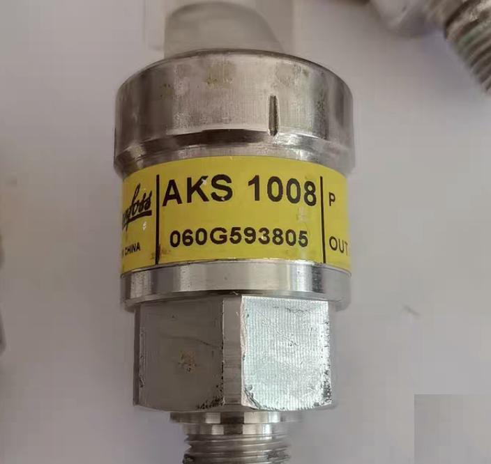AKS1008060G593805x13790828-01