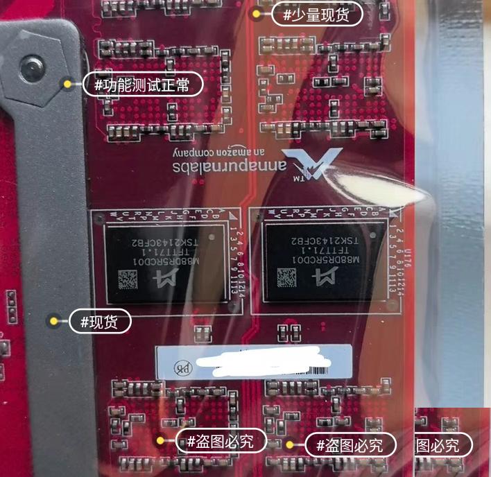 Annapurna labs AWS Nitro V5ALA75A00-AL-A0-8-C-ESK2V5-JRD01-R 04 R0C V0AK2V5-JRD01-R 05 R0C V0A