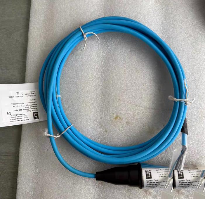 BESI Pressure sensor G28-ABS-IP68 G1 24312005022WA K220420 4-3253-1-3bar