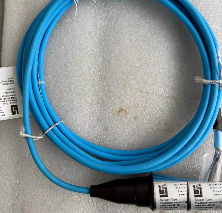 BESI Pressure sensor G28-ABS-IP68 G1 24312005022WA K220420 4-3253-1-3bar