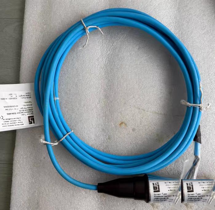 BESI Pressure sensor G28-ABS-IP68 G1 24312005022WA K220420 4-3253-1-3bar
