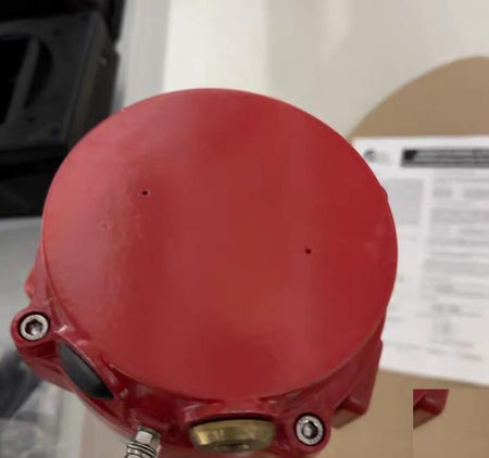 BExBG05D 5J XENON BEACON 230V AC 55mA