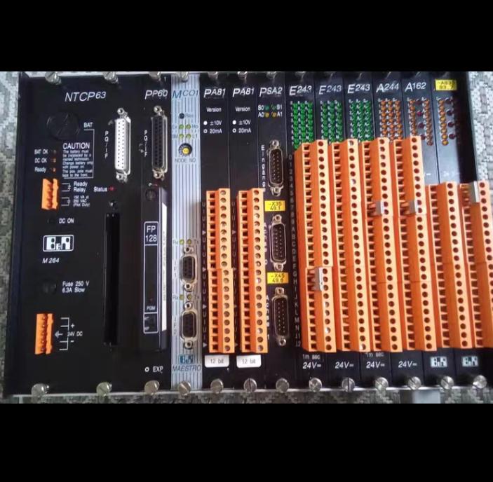 B R SPS NTCP63 PP60 MCO1 PAB81 PSA2 E243 A244 A162