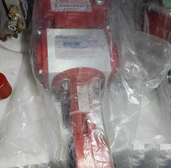 Bray Controls 92-0630-11300-532 50-0406-12610-532 316 DN30
