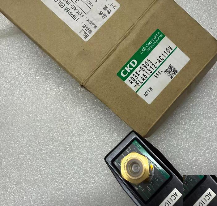 CKD AG3X-B905-FLA51312-AC110
