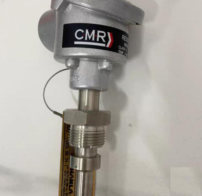 CMR MPT100HD PT100 0-600℃ SUS