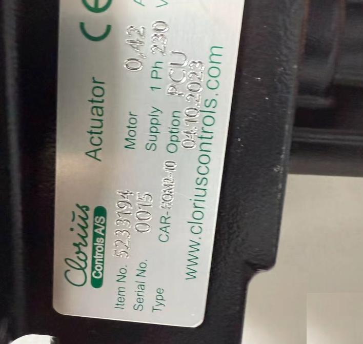 C loriu 5233194