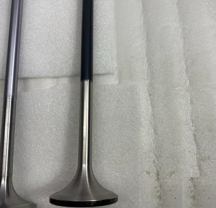 DAI HATSU E205859940Z 4