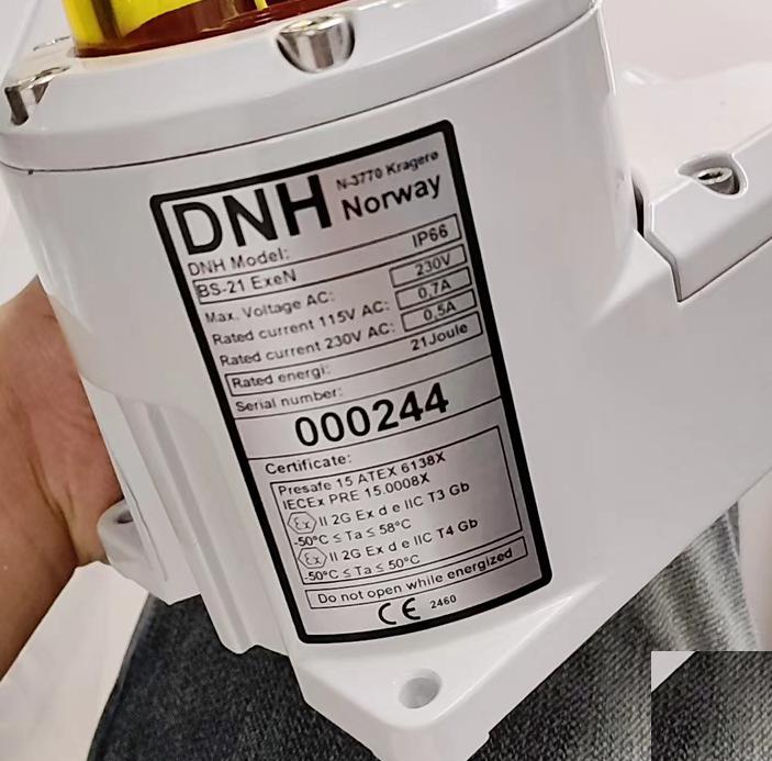 DNH bs-21exen