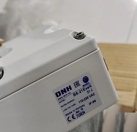 DNH bs-21exen