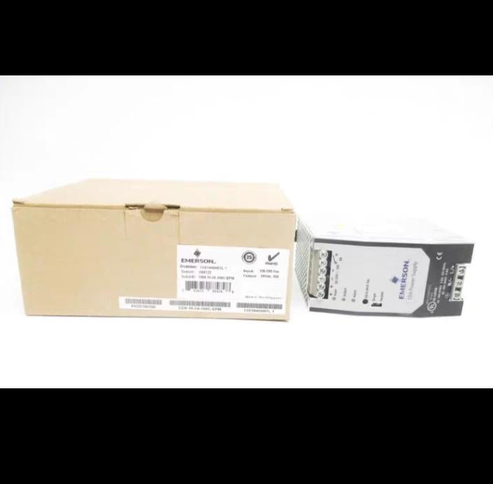 EMERSON 1X01046H01L1 SDN10-24-100C NSMP