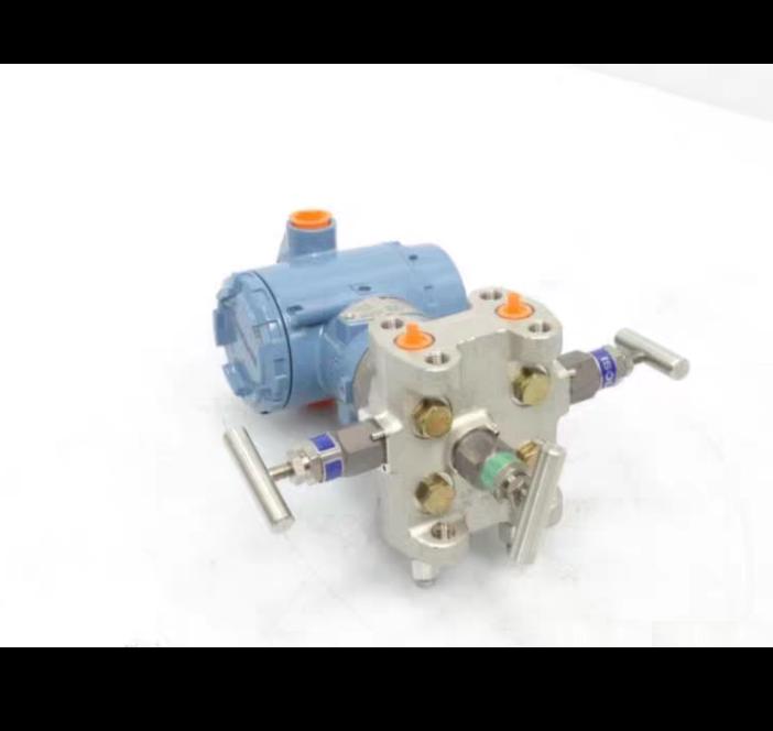 EMERSON 3095-MA13A0013AA10N0BS5