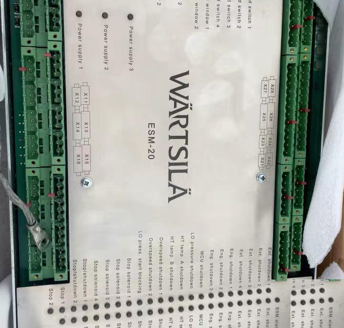 ESM-20