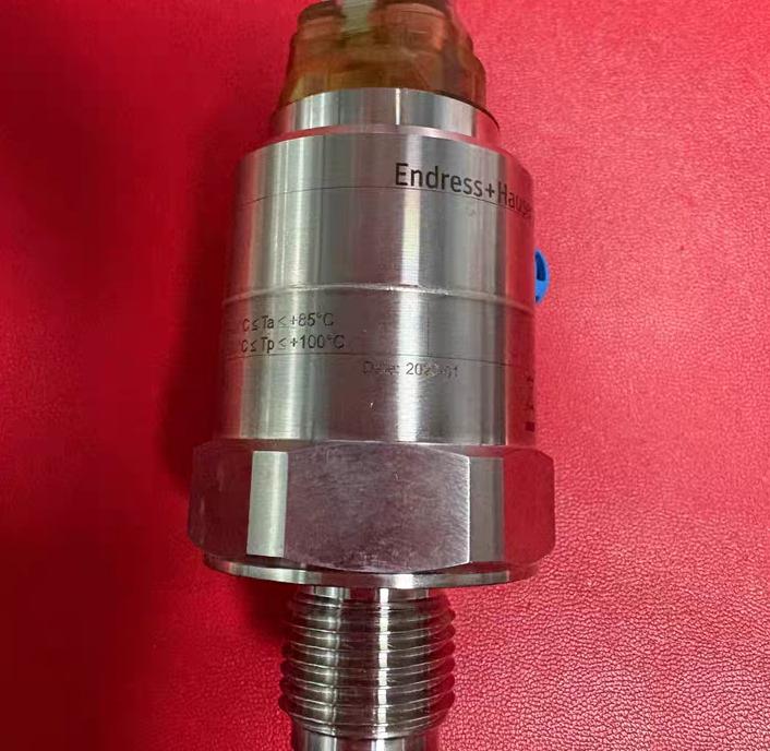 E H Endress Hauser PMC21