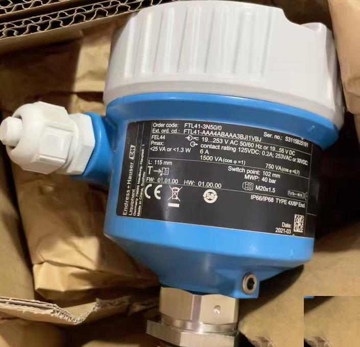 Endress Hauser FTL41-3N50 0 FTL41-AAA4ABAAA3BJI1VBJ 2021