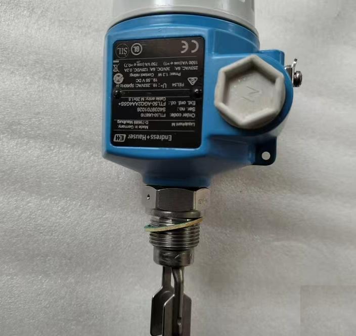 Endress Hauser FTL51-AGW2DB4G4s 16A