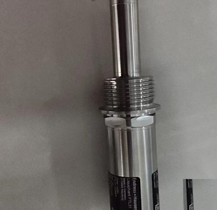 Endress Hauser Liquiphant FTL31