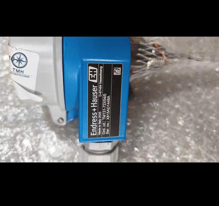 Endress Hauser TM131-TZK540 TM131-TZK540 PT-100 -200 500℃ 4-20mA IP66 68 L 190mm