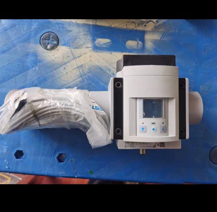 FESTO SFAM-90-5000L-TG112-2SV-M12 563796 50-5000 l min 35-30V DC 1