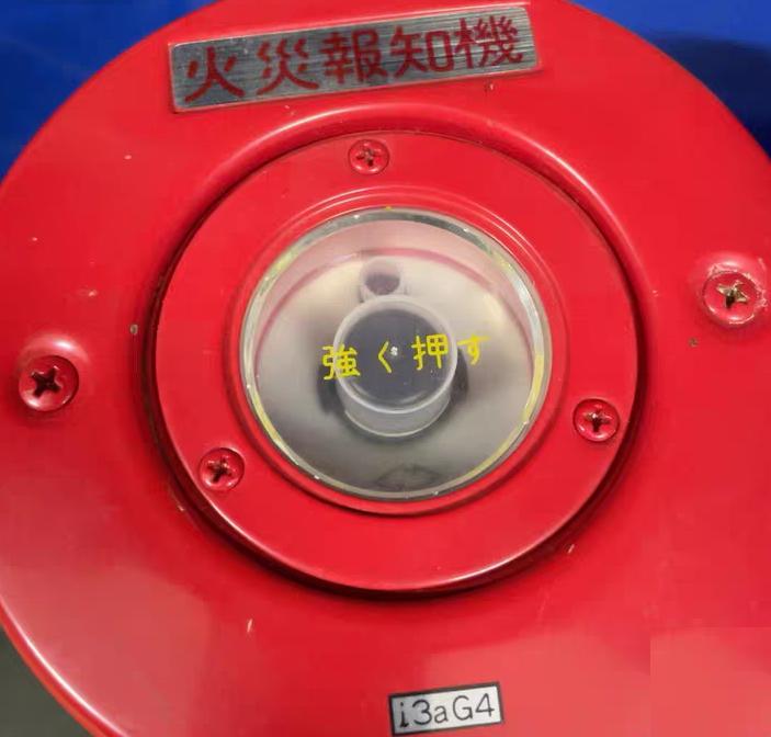 FMM557