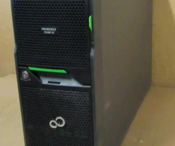 E5-2420 8-Bay TX200 96GB 300GB
