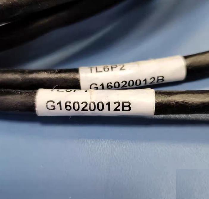 G16020012B 2 9
