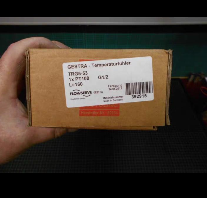 GESTRA TRG 5-53