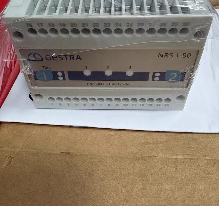 Gestra NRS 1-50 100-240V AC