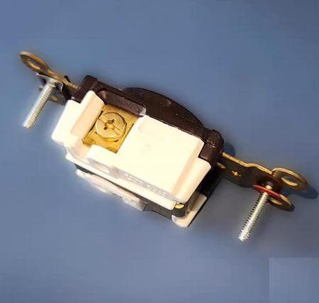 Hubbell HBL5261 9 Straight Blade Devices Receptacles Single Industrial Grade 2-Pole 3-Wire Grounding 15A 125V 5-15R Brown Single Pack HBL5266C