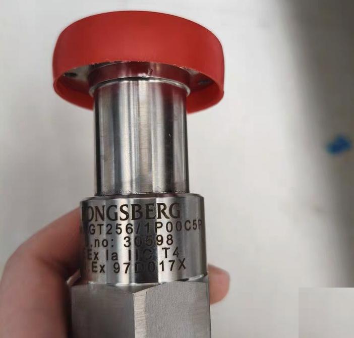 KONGSBERG GT256 1P00C5P GT256 1P00C5P 30598 Ex ia IIC T4