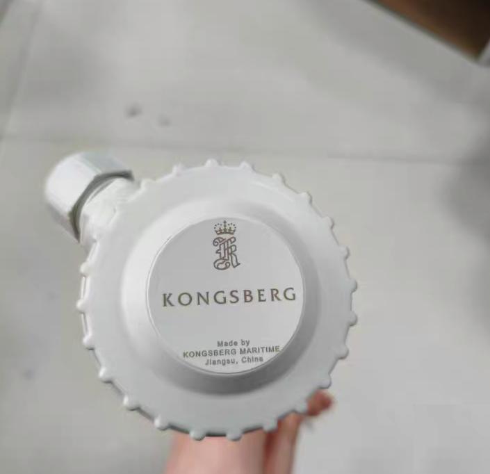 KONGSBERG MB286S250U PT100 0℃
