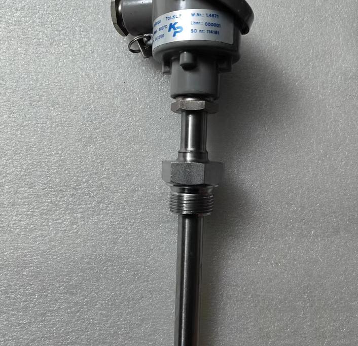 KP 1xPT100 600℃ L100mm1xPT100 400℃ L150mm1xK 600℃ L200mm