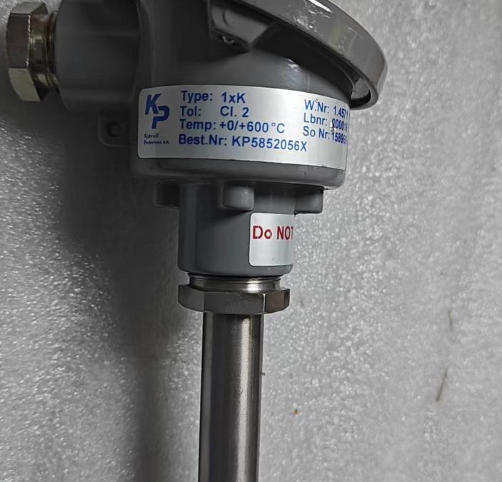 KP 1xPT100 600℃ L100mm1xPT100 400℃ L150mm1xK 600℃ L200mm