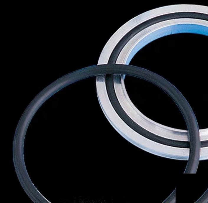 MDC 810004 ISO 250 2 Aluminum Centering Ring DN250LF ISO 250 LF Large-Flange FKM O-Ring