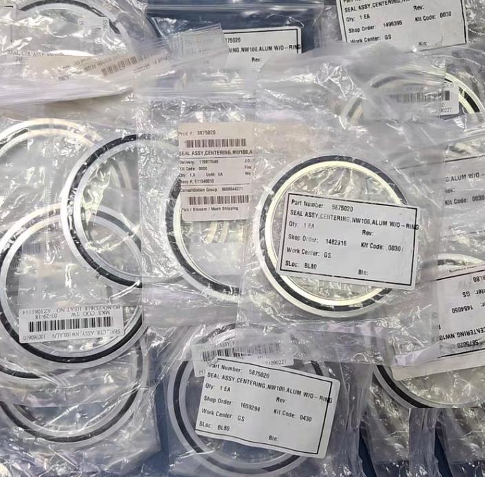 MKS 100760610 ISO100 AL V 21 550 1 13 487RMB