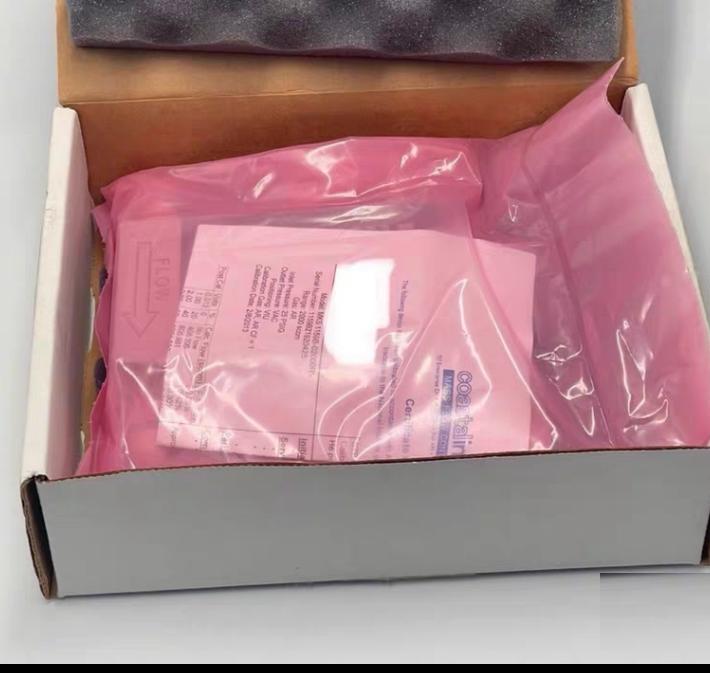 MKS 1159B-02000RV-S MFC 2 SLM Ar 2000