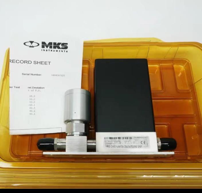 MKS 2179B01314CG1BV