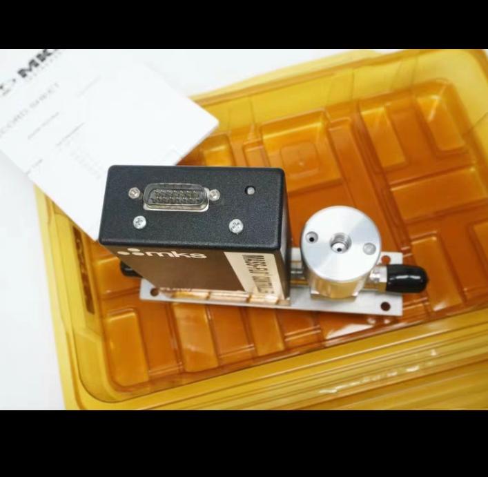 MKS 2179B01314CG1BV