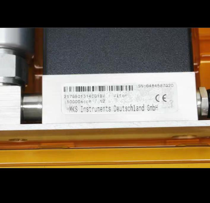 MKS 2179B01314CG1BV